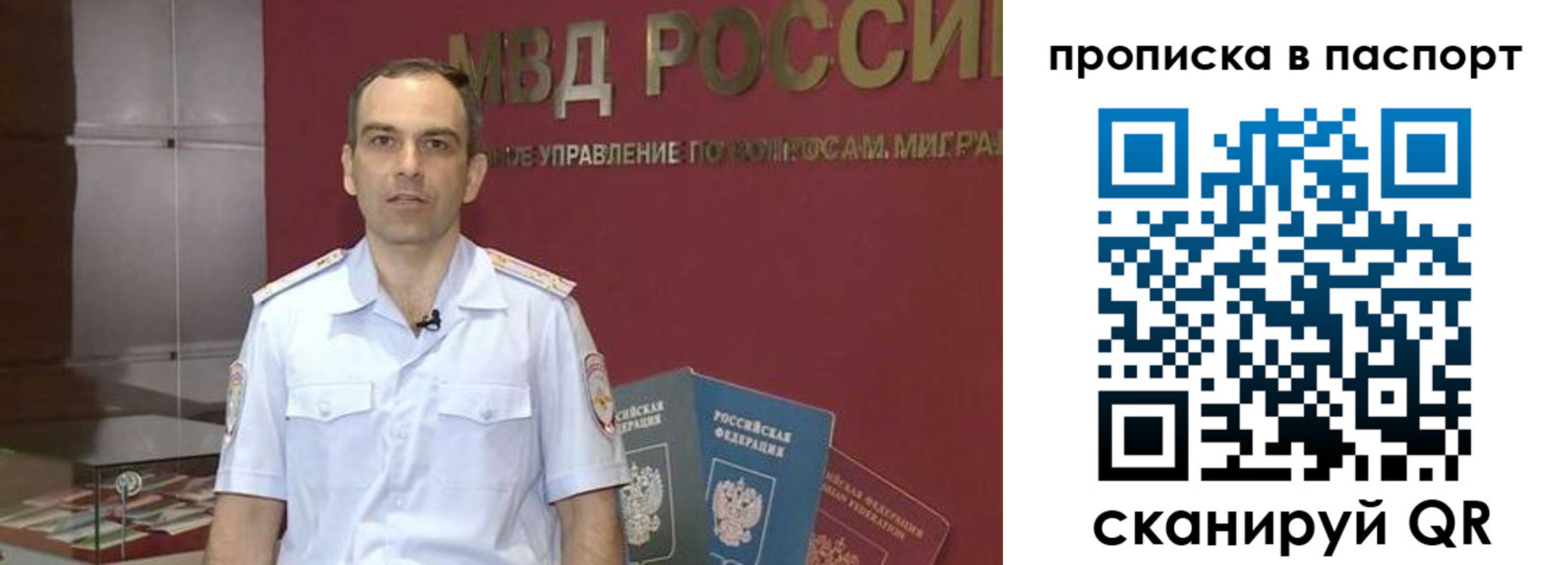 прописка поиск в Ростове-на-Дону
